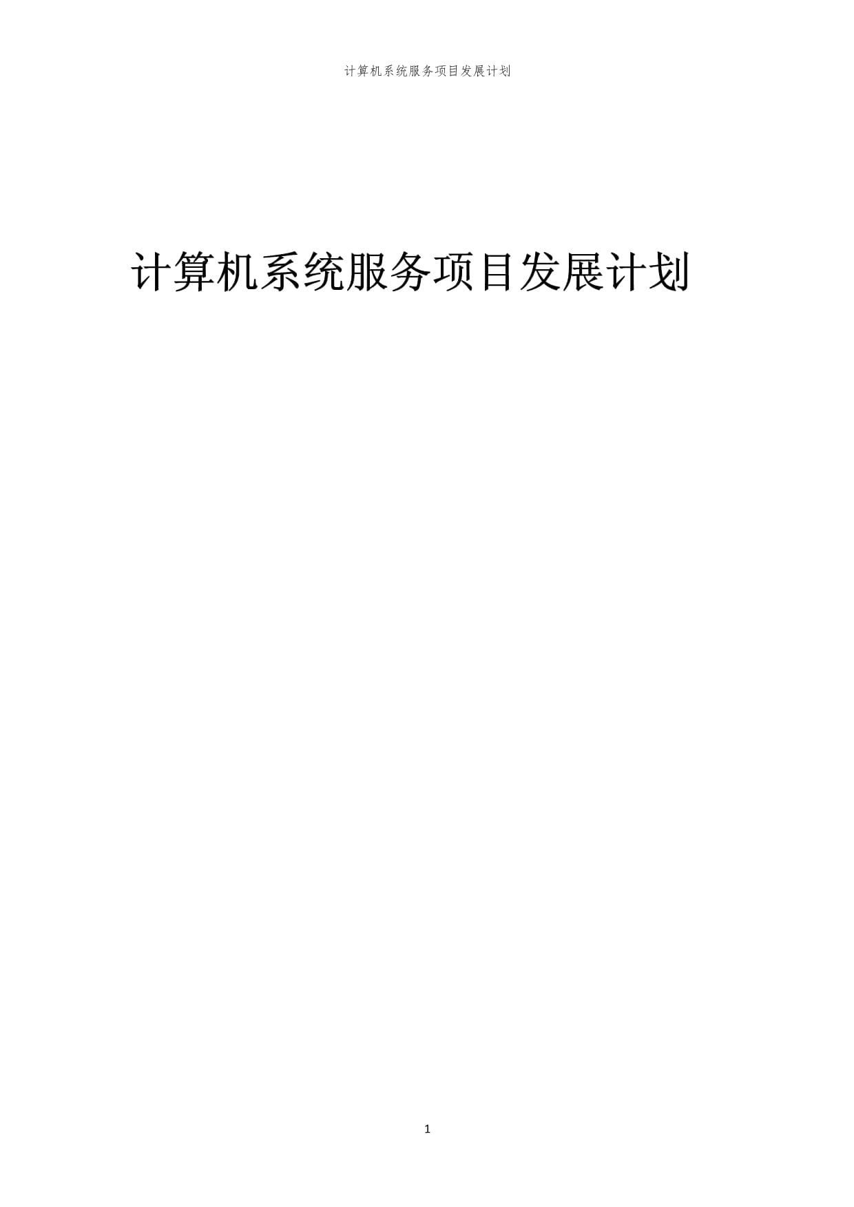 2024年计算机系统服务项目发展计划